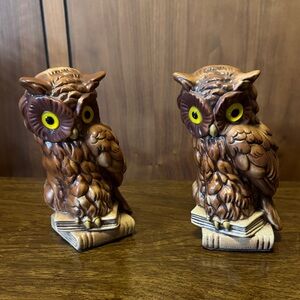 Charming Brown Owl Bookends